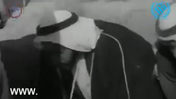 يوم زايد للعمل الإنساني لمسة وفاء خالصة لحكيم العرب